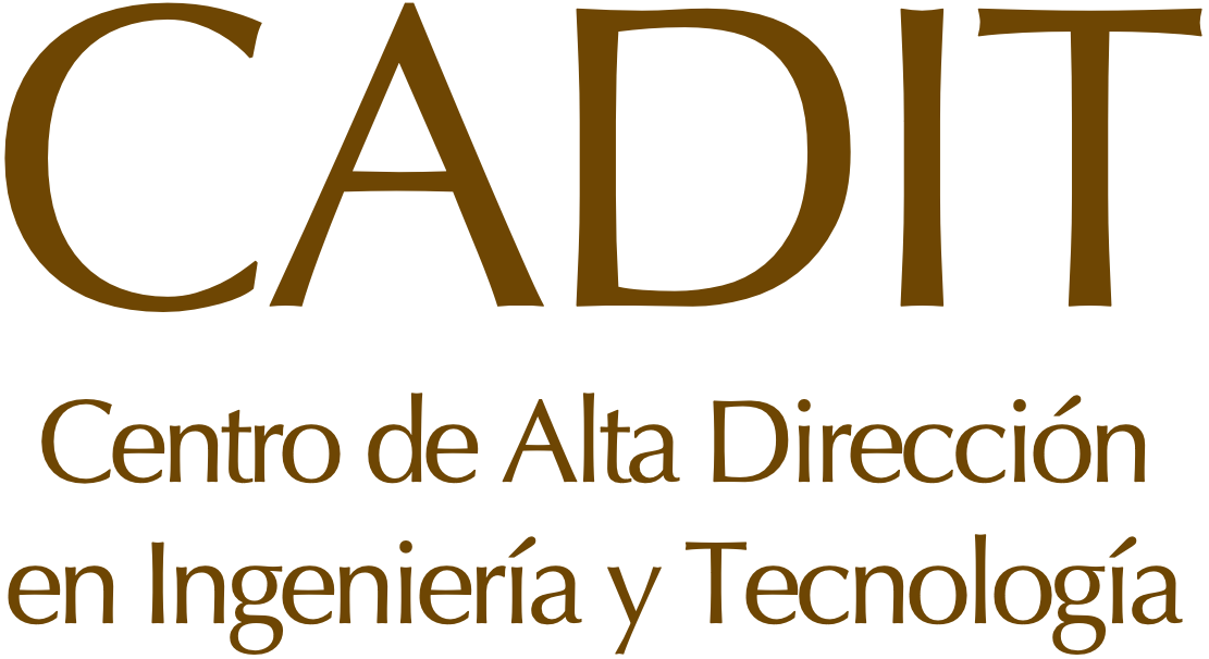 Logo CADIT Texto